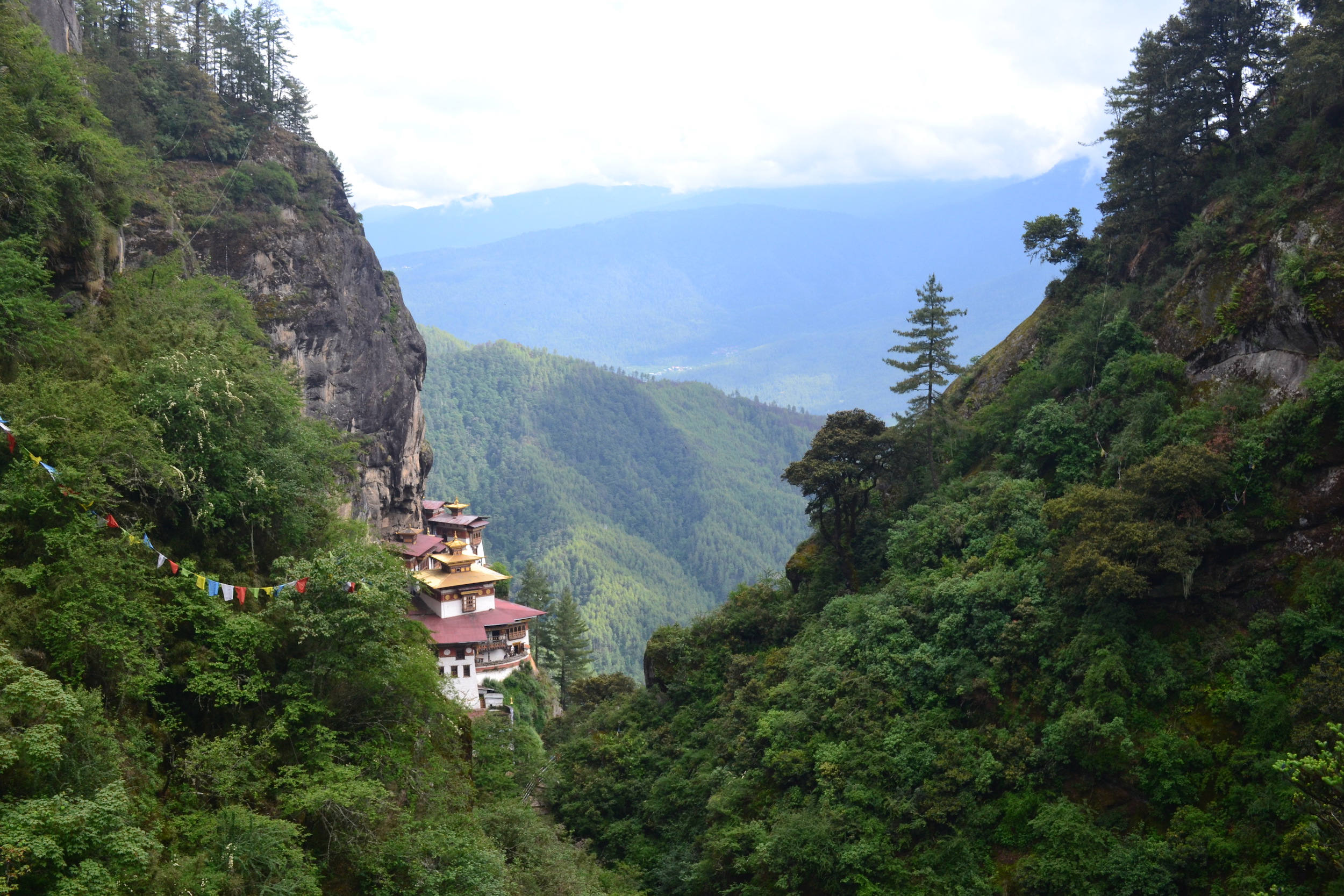 Landscapes & Countryside | Bhutan Green Travel