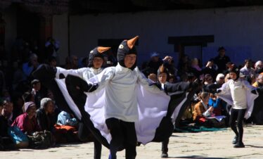 Black-Necked Crane Festival
